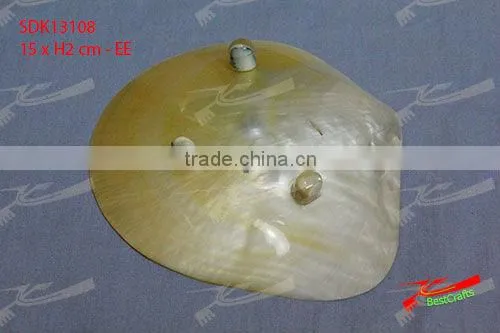 Shell / MOP Plate photo-2
