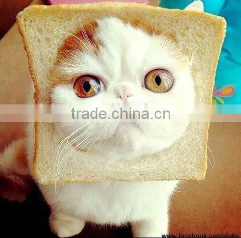 Toast Making Machine