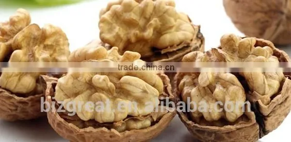 Supply With Chinese Whole Walnuts in Thin Shell With Different Sizes for Sales photo-6