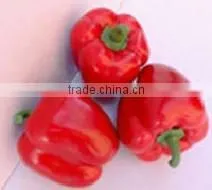 plastic red pepper