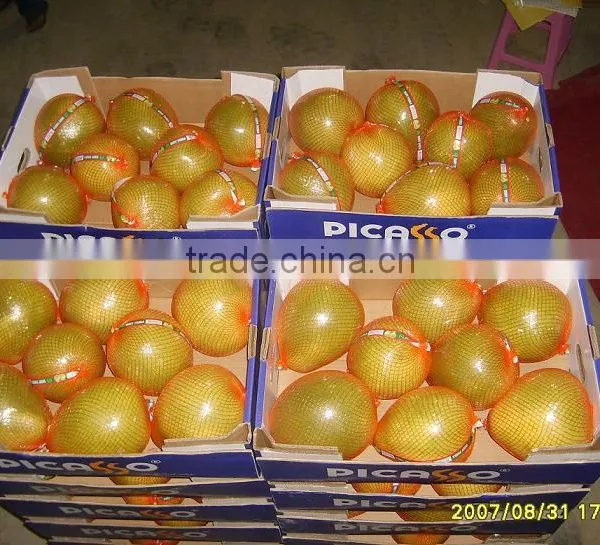 Pomelo Fruit for Pomelo Juice for Sale photo-3