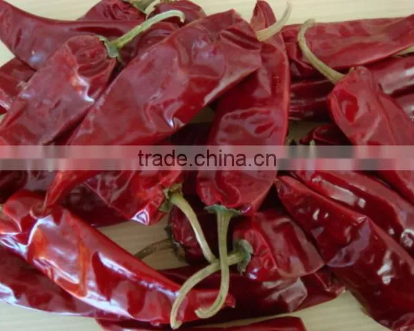 Chinese Dried Chili/chili Peppers,American Red Chili