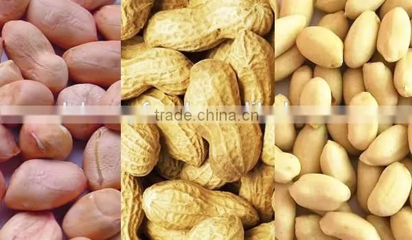 Best Peanuts With Top Grade From China photo-2
