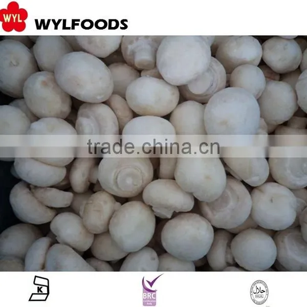 IQF China Price for Frozen Champignons Whole 2015 High Quality photo-4