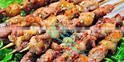 Automatic Rotary Barbecue Grill Machine/rotary Chicken Grill Machine photo-6