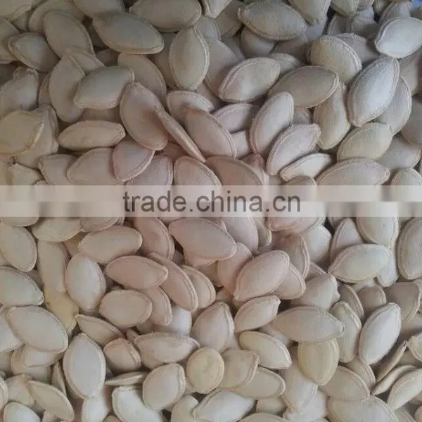 Wholesale Chinese White Pumpkin Seeds With High Quality photo-2