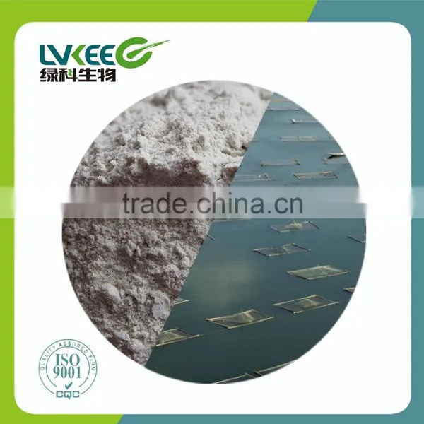 Probiotics Powder 200BL Bacillus Amyloliquefaciens Amino Acid Promoter From Lvkee photo-4