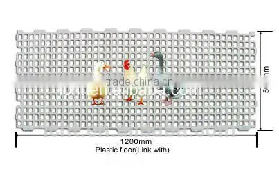 Chicken Plastic Floor photo-3