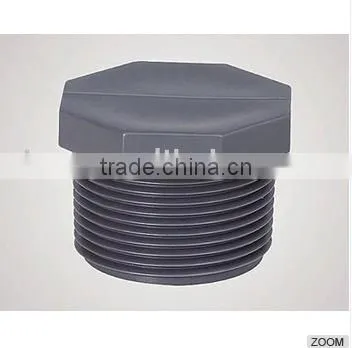 pvc thread pipe and fittings plug and fittings plug/plastic male thread plug