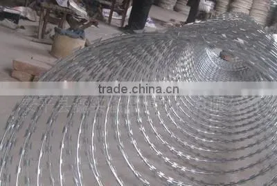 Cheap Barbed Wire Price per Roll Galvanized Razor Barbed Wire photo-3