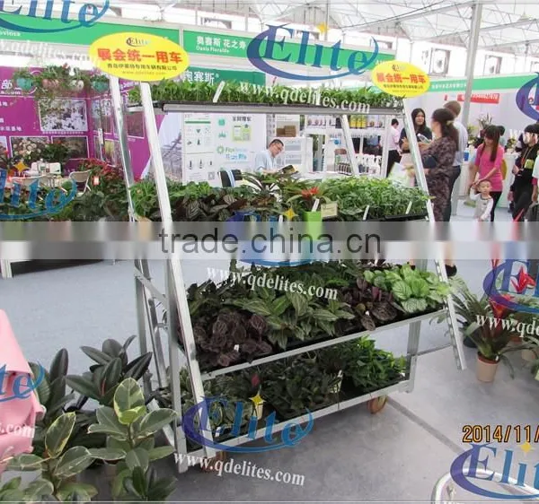 A56 Flower Pot Garden Center Display Show Frames photo-2