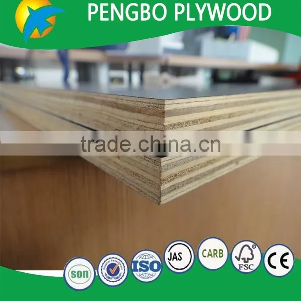 Black Shuttering Plywood Plate photo-6