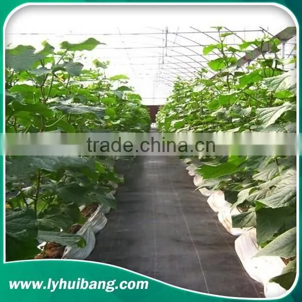 pp Weed Mat Weed Contol Barrier Groundcover photo-3