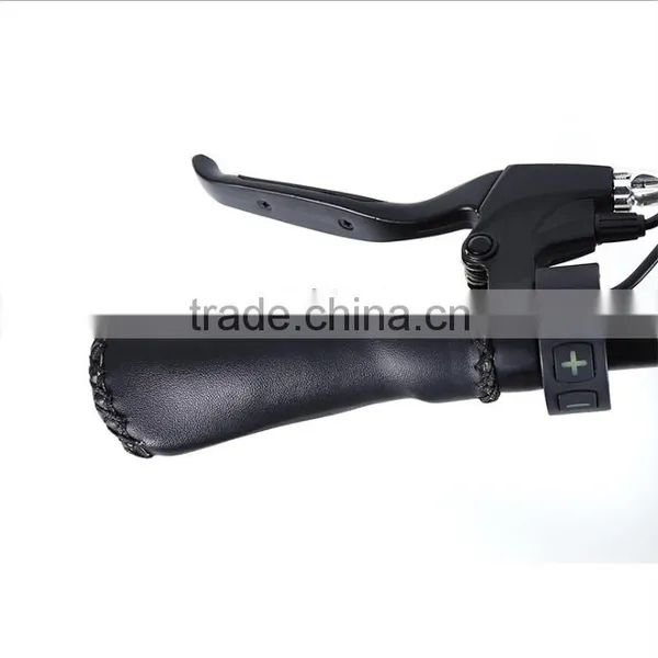Hot Electric Fat Tire Bicycle, 26inch Fat Tire 36V 250W Electro Bike For Adult photo-3