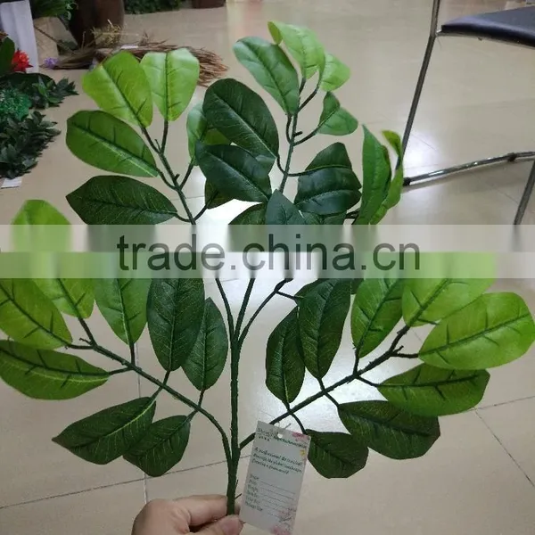 SJ070905 Artificial Longan Leaves for Longan Tree Making/artificial Tree Leave Craft photo-6