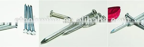 galvanized concrete steel nail/concrete nails/steel nail