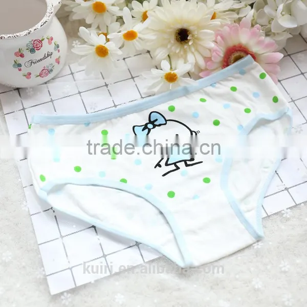 2017 New Sexy Women Underwear Comfort Fancy Women Panties Girls Panties Briefs photo-5