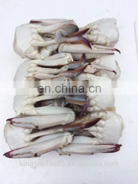 Wholesale Frozen Blue Swimming Crab photo-4