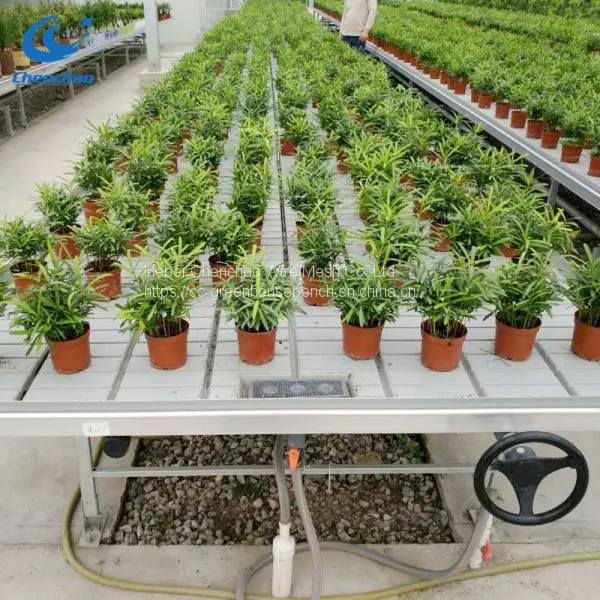 Greenhouse Rolling Bench Ebb and Flow Bench China Supplier Sale photo-5