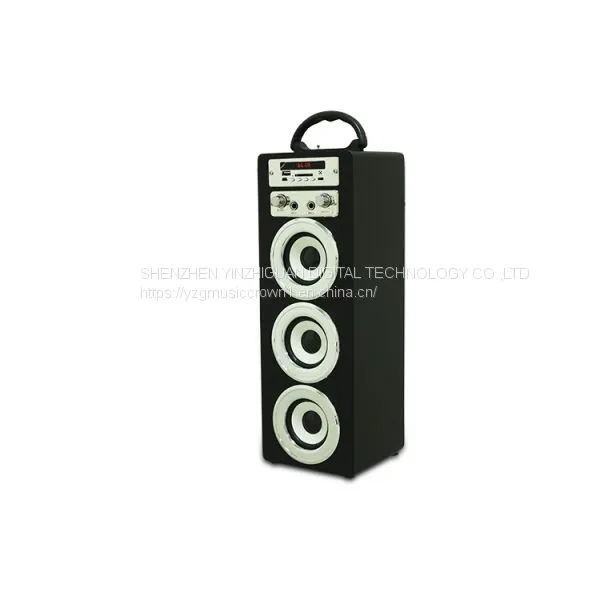 Wooden Portable Bluetooth Speaker With Karaoke and FM Function photo-3