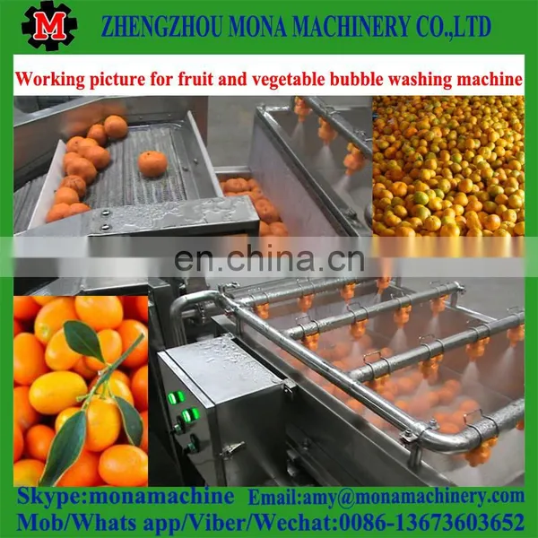 Hot Selling Vegetable Washing Machine/bubble Washer/ozone With Low Cost photo-2