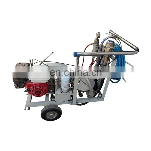 New Design Hand Push Cold Paint Spraying Marking Machine For Road photo-2
