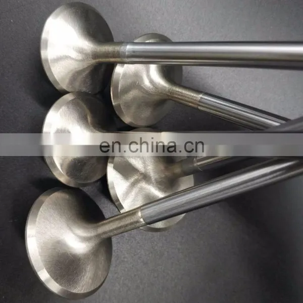 Auto Accessory Car Parts Engine Valves For Honda Civic EX Si D16z6 D16y8 D16y6 D16y7 SOHC VTEC D17a photo-5