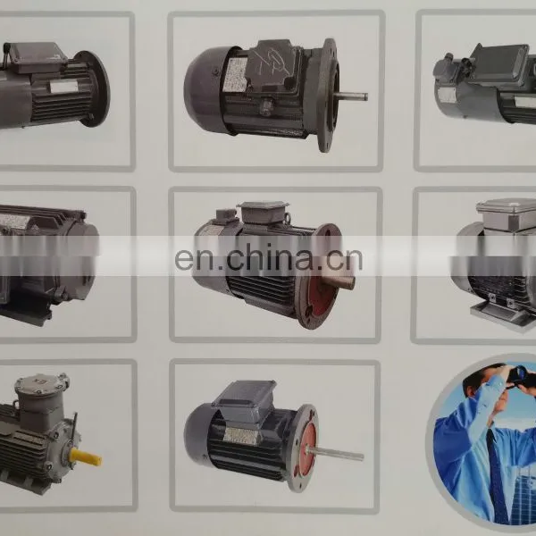 Cheap Electric Motors Single Phase ac YS7144 Motor 0.37KW 380V Three-phase Asynchronous Motor photo-6