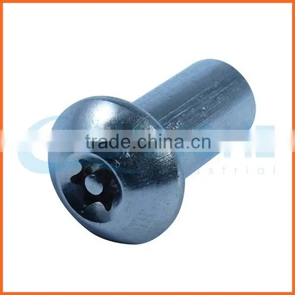 China Supplier Stainless Steel Torx Anti-theft Screws photo-3