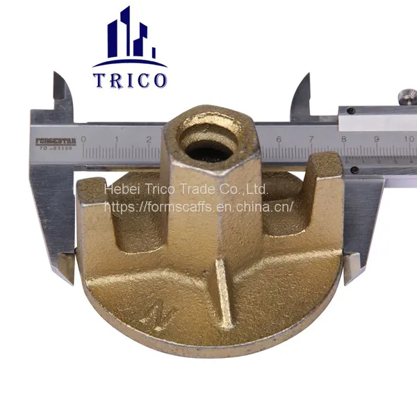 Concrete Formwork Galvanized Cast Iron Tie Nut Anchor Nut Wing Nut