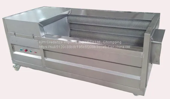 Hot Sale High Quality of Potato Washing And Peeling Machine photo-2