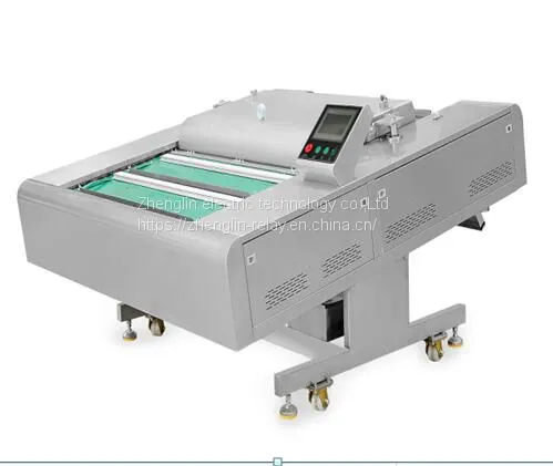 DZ-1100 SINGLE SEALED CONTINUOUS BELT TYPE VACUUM PACKAGING MACHINE