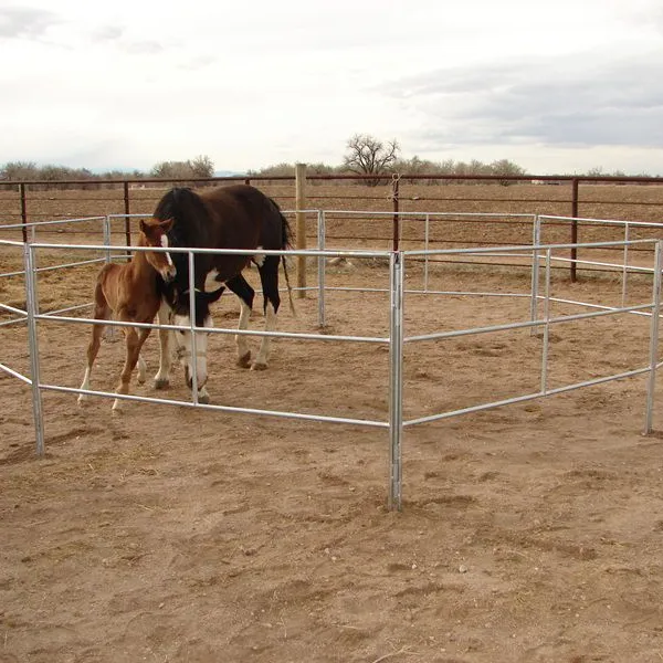 Hot Dip Galvanized Steel Horse Fence With PVC and Wood Frames Heat Treated for Farms Gardens Security 3D Modeling Available photo-3
