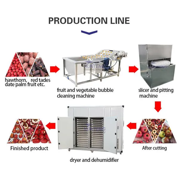 Commercial Fish Dryer Machine EPC photo-4