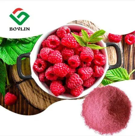 Organic Raspberry Powder