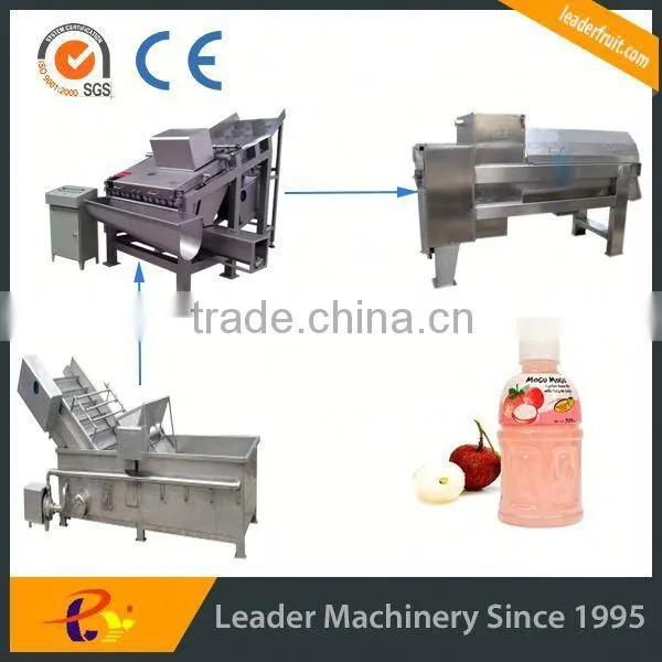 Leader Stainless Steel Longan Fruit Processing Line With CE & ISO photo-3