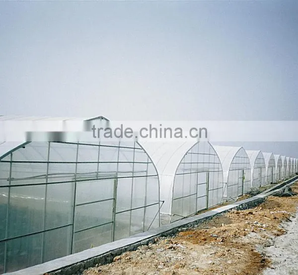 Greenhouse Film photo-2