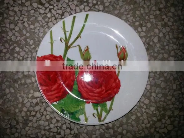 Disposable Ceramic Plates photo-2