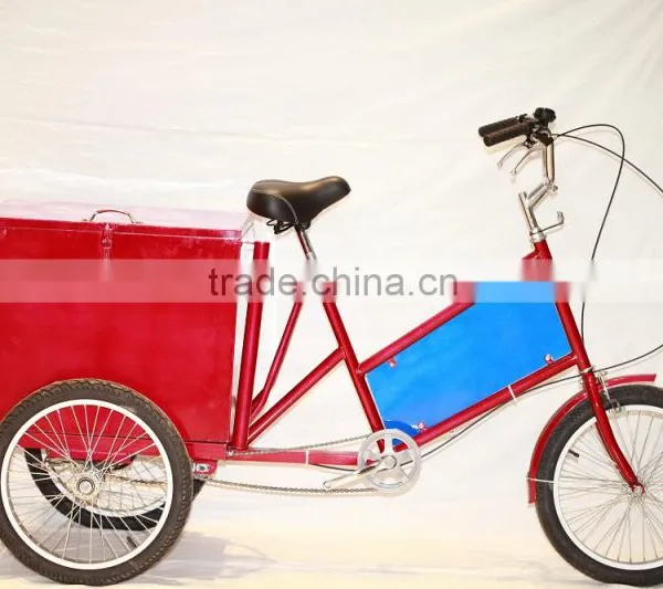 Electric Cargo Bike for Family Use photo-6
