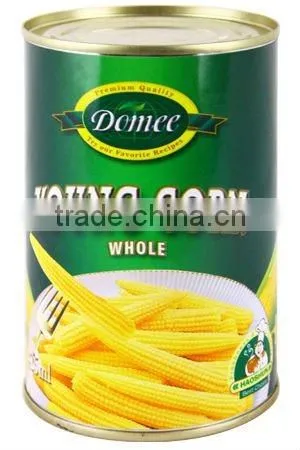 Fresh Baby Corn Buyers OEM Brand Canned Cut Baby Corn Glass Jar