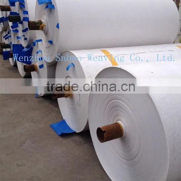 pp Woven Fabric in Rolls for Bags