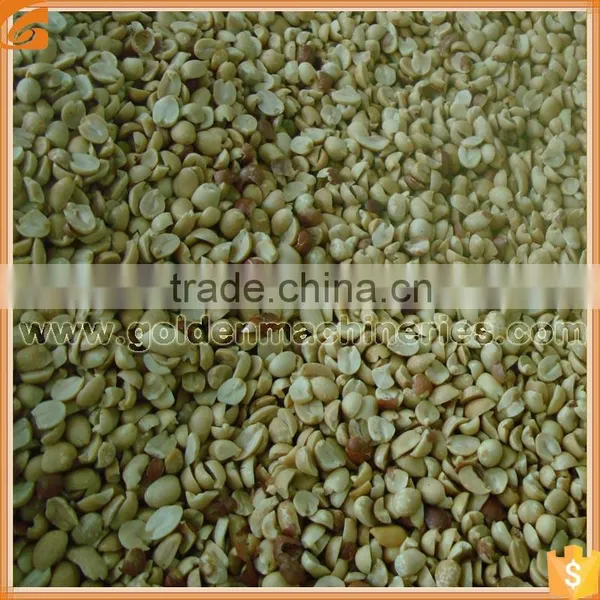 New Type Peanut Slicing Machine for Slitting Peanut photo-4