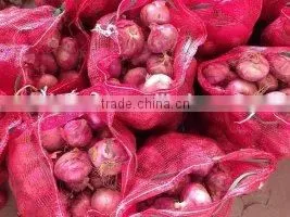 Chinese Fresh red round onions 7-9CM 9-11CM for sale