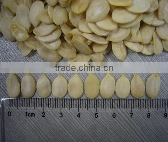 2015new Black Watermelon With Top Quality and Best Price photo-2