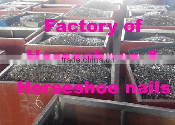 Factory Direct Selling Wholesle Steel Horseshoe Nails