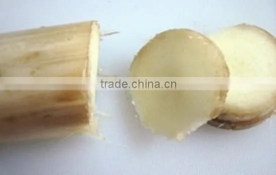 Banana Stem photo-2