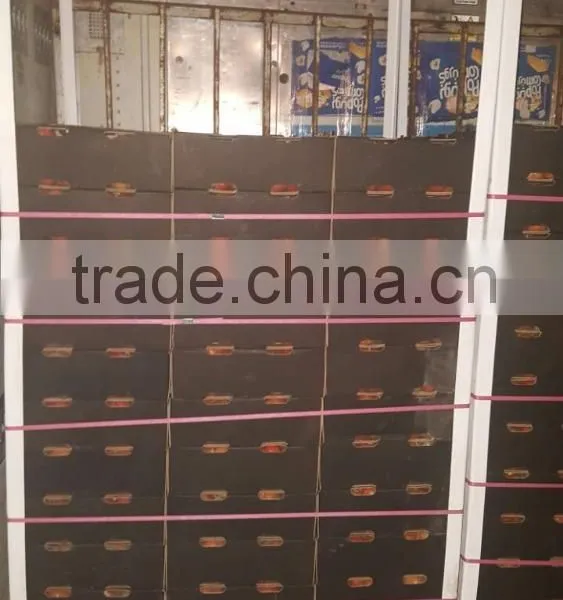 High Quality Garlic White Garlic With Good Packing photo-4