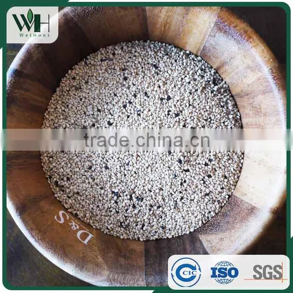Reliable Pakistan White Sesame Supplier photo-6