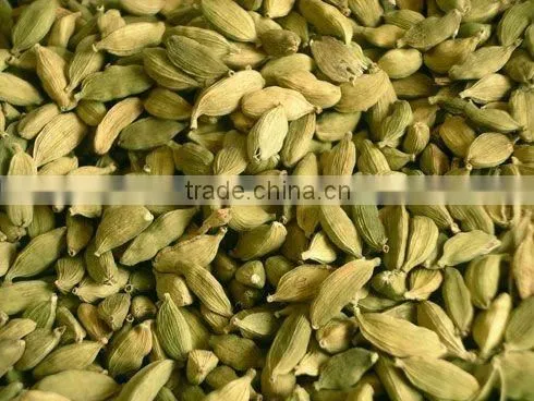 Cardamom