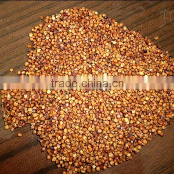 Red Sorghum With Best Price photo-4
